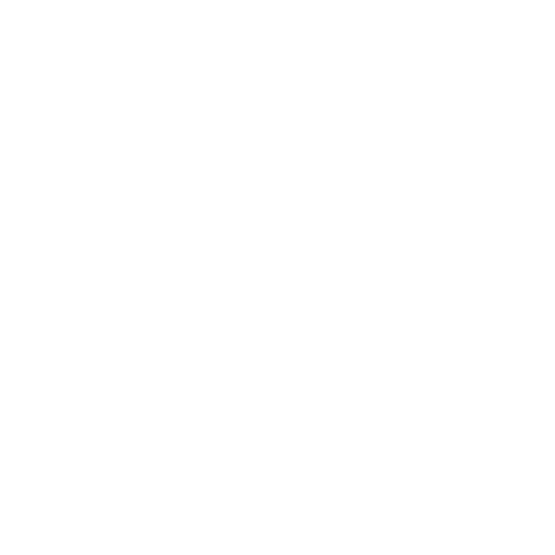 NSSV Logo bildmarke inverted
